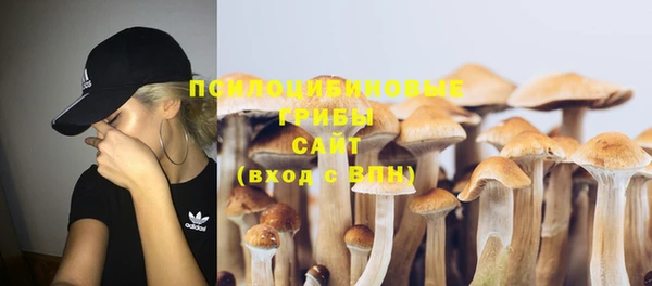 винт Пестово