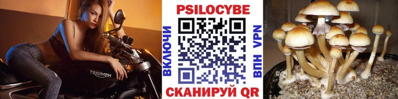Галлюциногенные грибы ЛСД  продажа наркотиков  Лермонтов 